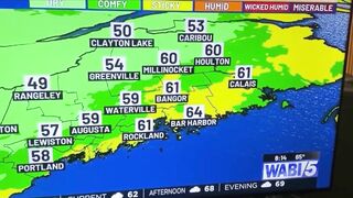 Maine Meteorologist's Live Laughing Fit Steals the Weather Show