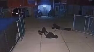 Man catches thugs breaking into his car he shoots them both