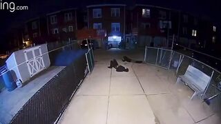 Man catches thugs breaking into his car he shoots them both