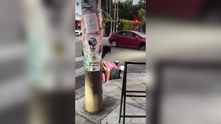 A homeless man was seen stealing food contents from a delivery robot in LosAngeles