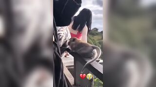 That's what happens when you stick your nose where it doesn't belong