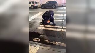 FAFO: Officers Pin Black Woman to Ground and Drag Her to Squad Car After Verbal Attack