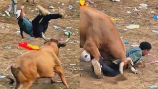 Bullfighter tramped and gored in rectum by bull's horn