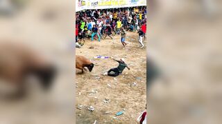 Bullfighter tramped and gored in rectum by bull's horn