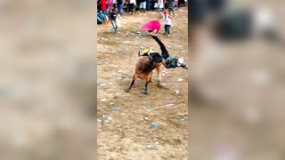 Bullfighter tramped and gored in rectum by bull's horn