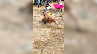 Bullfighter tramped and gored in rectum by bull's horn