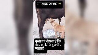Evolution of species in India