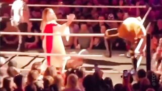 If "Jesus" was a WWE wrestler