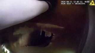 Man Attacks Sheriff's Deputies With Flamethrower