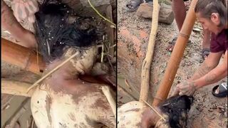 Gold earrings stolen from the body of a girl who was a victim of the floods in Nepal