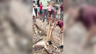 Gold earrings stolen from the body of a girl who was a victim of the floods in Nepal