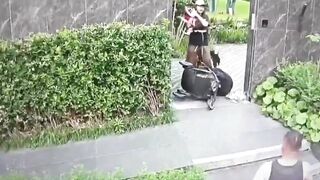 Mother Grabs Dog Over Stroller in Tense Encounter Clip