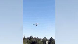 A hang glider pilot was injured after losing control and crashing onto a parked car