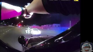 Woman caught with beer in her hand following wild crash in Arizona