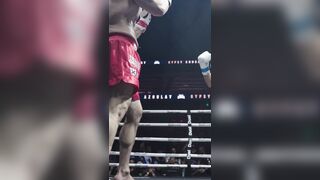 GYPSY CRUSADER BEATS KING AZOULAY