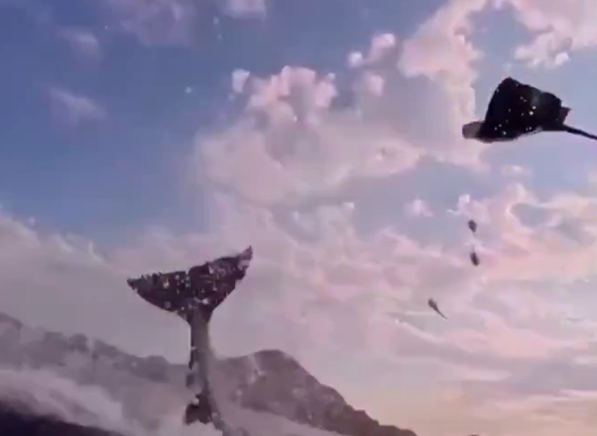 Orca Launches Pregnant Stingray Into the Air and the Pups Come Out