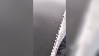 Disabled Vietnam Vet Jumps into Water to End his Life