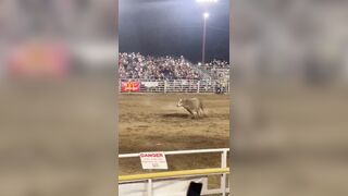 Bull in the USA! Lone Bull Escapes Rodeo and takes out Female Redneck and her Ice Cream