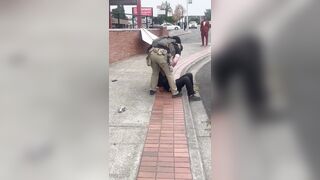 Illegal alien assaulted numerous ICE agents while resisting arrest in Washington