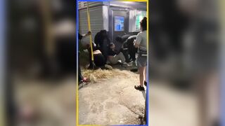 Brawl outside the bar in Maine that preceded a man being shot and killed