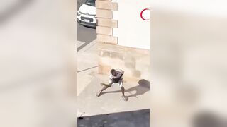 Italians tired of seeing invaders ruin their town team up and take down invader