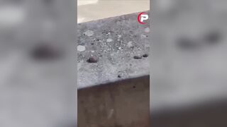Italians tired of seeing invaders ruin their town team up and take down invader