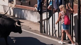 A 64-year-old woman dies after being gored during the bull run in Aýna (Albacete)
