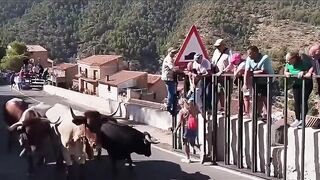 A 64-year-old woman dies after being gored during the bull run in Aýna (Albacete)