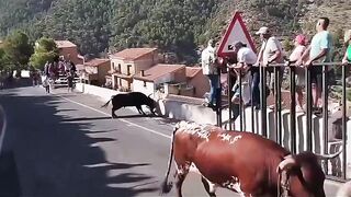 A 64-year-old woman dies after being gored during the bull run in Aýna (Albacete)