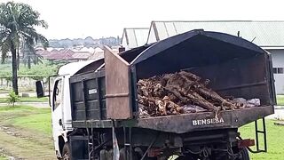 Benue Body Dump