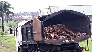 Benue Body Dump