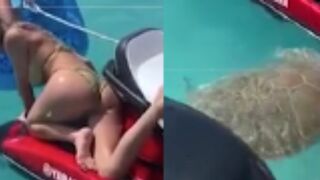 Snapping Turtle VS Bikini Girl