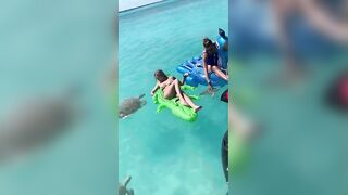 Snapping Turtle VS Bikini Girl