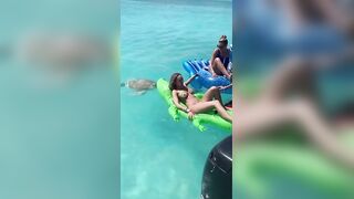 Snapping Turtle VS Bikini Girl