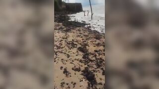 Brazil: Drowned Woman is Found by Fisherman in Brazil