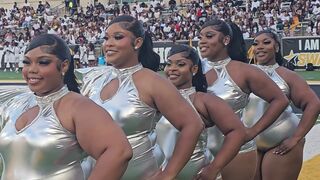Alabama State HoneyBeez Dance Team Draws Online Divide