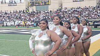 Alabama State HoneyBeez Dance Team Draws Online Divide