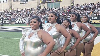 Alabama State HoneyBeez Dance Team Draws Online Divide