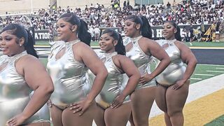 Alabama State HoneyBeez Dance Team Draws Online Divide