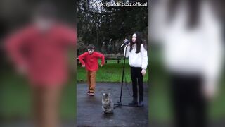 At least give it up for the Cat