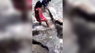 Sen. Mark Kelly daughter dog locked onto a baby sea lion, and the sea pup died