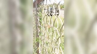 Leopard pounces on forest official during rescue after highway accident
