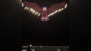 ALASKA DRONE SHOW