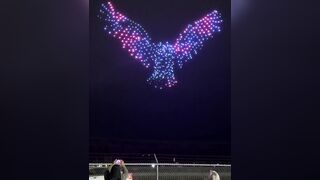 ALASKA DRONE SHOW