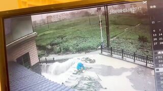 This Is What Zero Self-Preservation Looks Like