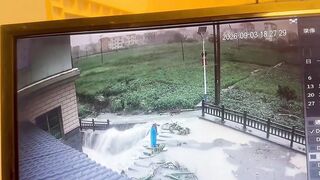 This Is What Zero Self-Preservation Looks Like