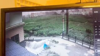 This Is What Zero Self-Preservation Looks Like