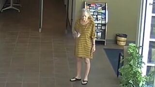 SHocking: Three Port Orange officers fired more than a dozen rounds at 71-year-old Linda Jean Croteau after she entered into the station with a handgun and discharged a single bullet toward the evidence area.
