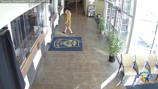 SHocking: Three Port Orange officers fired more than a dozen rounds at 71-year-old Linda Jean Croteau after she entered into the station with a handgun and discharged a single bullet toward the evidence area.