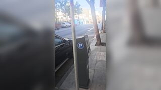 Woman Seriously Injured In Dog Attack In San Francisco